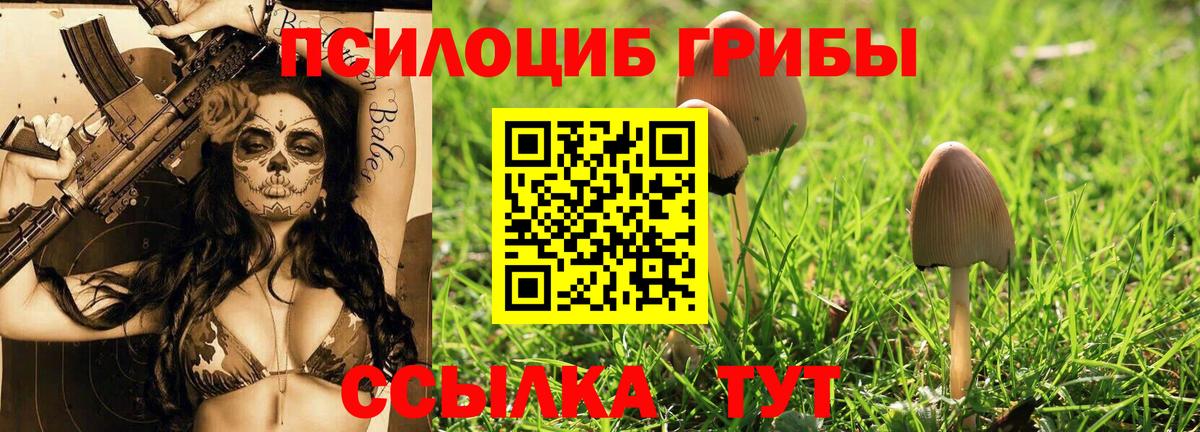 Галлюциногенные грибы прущие грибы  Галлюциногенные грибы Psilocybe  Якутск  Вход с VPN 
