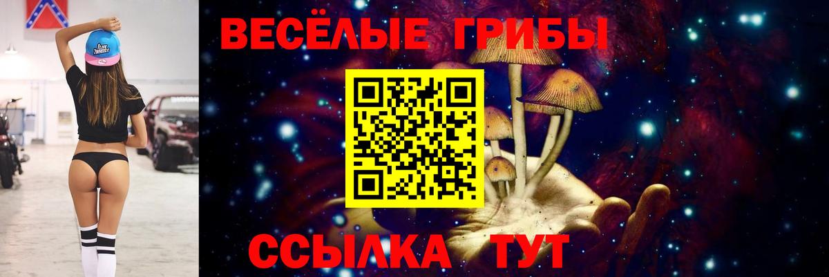Псилоцибиновые грибы Magic Shrooms Якутск